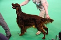 Crufts2011 607